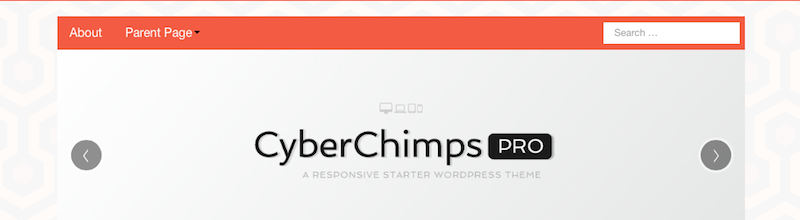 cyberchimps-radiant